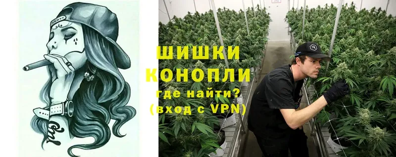 дарнет шоп  Аркадак  Шишки марихуана THC 21% 